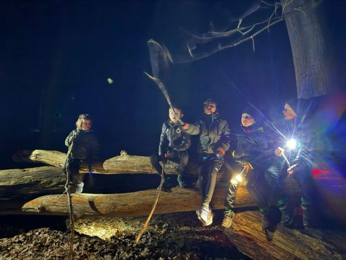 WhatsApp-Image-2026-02-16-at-12.40.04-4