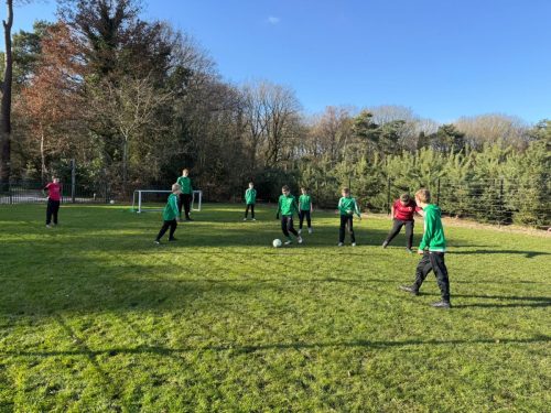 WhatsApp-Image-2026-02-16-at-12.40.06