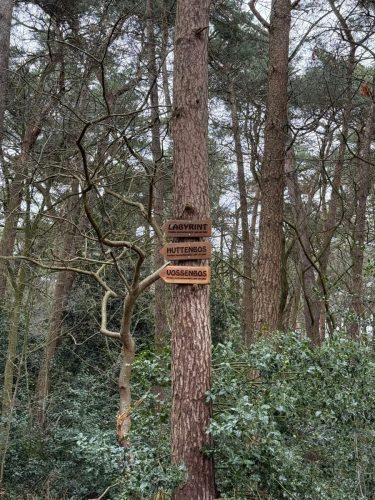 WhatsApp-Image-2026-02-16-at-12.40.16-2