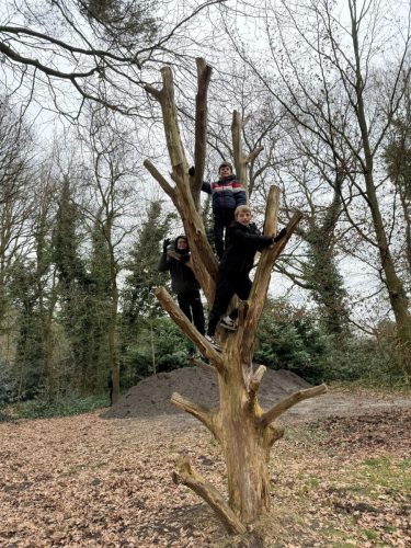 WhatsApp-Image-2026-02-16-at-12.40.16-3