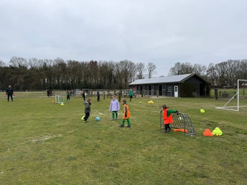 WhatsApp-Image-2026-02-16-at-12.40.19-4