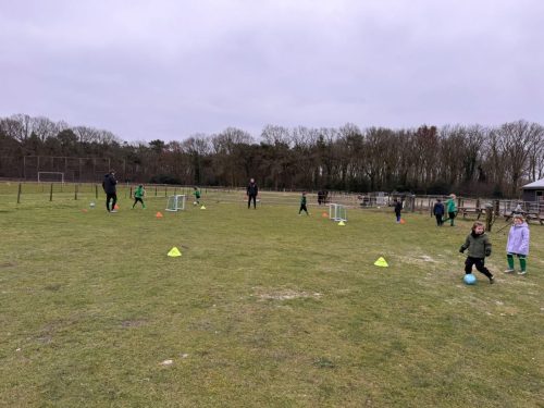 WhatsApp-Image-2026-02-16-at-12.40.19-5