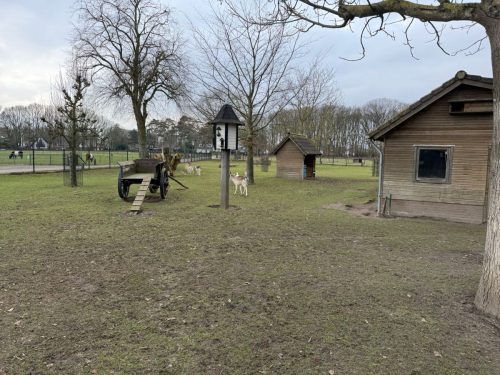 WhatsApp-Image-2026-02-16-at-12.40.20-7